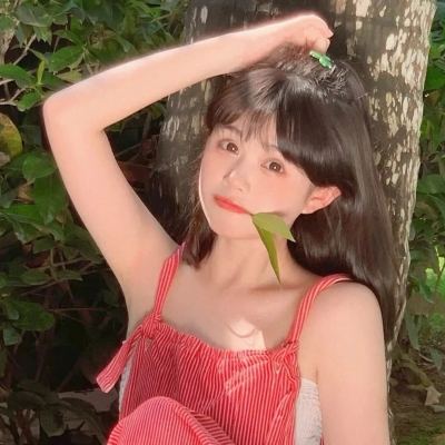 风流王爷果盘版下载